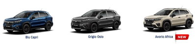 Suzuki S-Cross 1.4h Top 2wd 110cv (8)