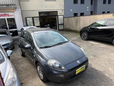 Fiat Punto 1.3 MJT II 75 CV 5 porte Lounge (3)