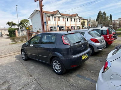 Fiat Punto 1.3 MJT II 75 CV 5 porte Lounge (6)