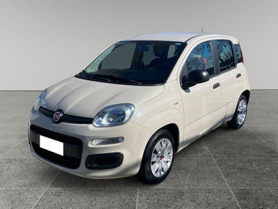 Fiat Panda 1.3 MJT S&S Easy usata