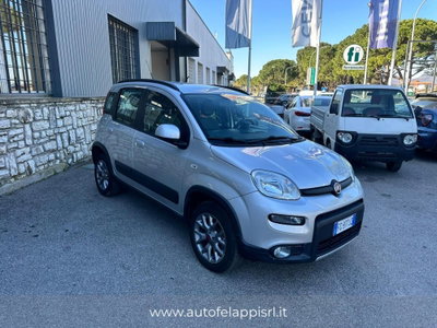 Fiat Panda 0.9 TwinAir Turbo S&S 4x4 Wild (3)