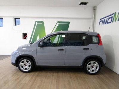 Fiat Panda 1.0 firefly hybrid s&s 70cv 5p.ti (5)