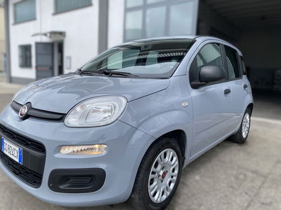 Fiat Panda 1.0 FireFly S&S Hybrid City Cross usata