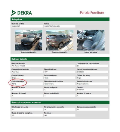 Alfa Romeo Tonale 1.3 phev Intensa Q4 280cv at6 (13)