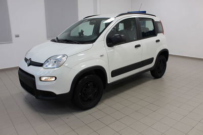Fiat Panda 1.3 MJT 95 CV S&S 4x4 usata