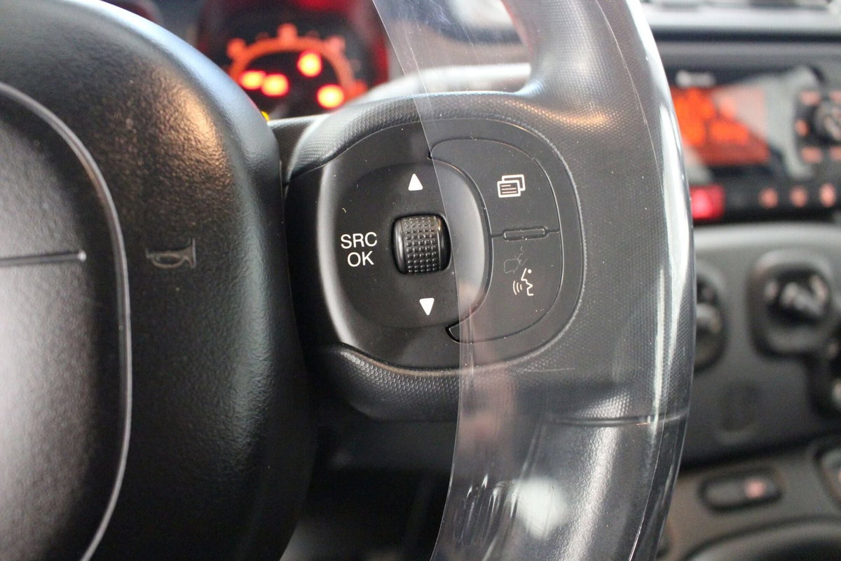 Fiat Panda 1.3 MJT 95 CV S&S 4x4 (12)