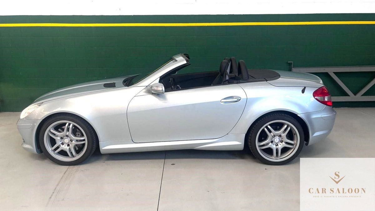 Mercedes-Benz SLK 350 cat (2)