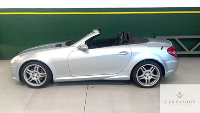Mercedes-Benz SLK 350 cat (2)