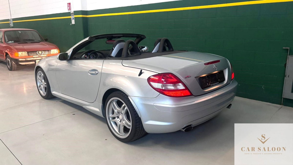 Mercedes-Benz SLK 350 cat (3)