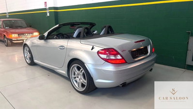 Mercedes-Benz SLK 350 cat (3)