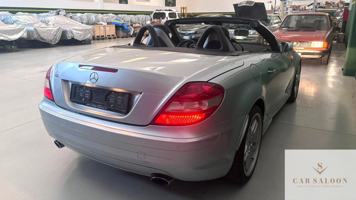 Mercedes-Benz SLK 350 cat (4)
