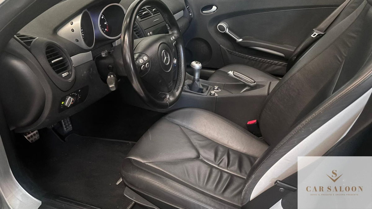 Mercedes-Benz SLK 350 cat (5)