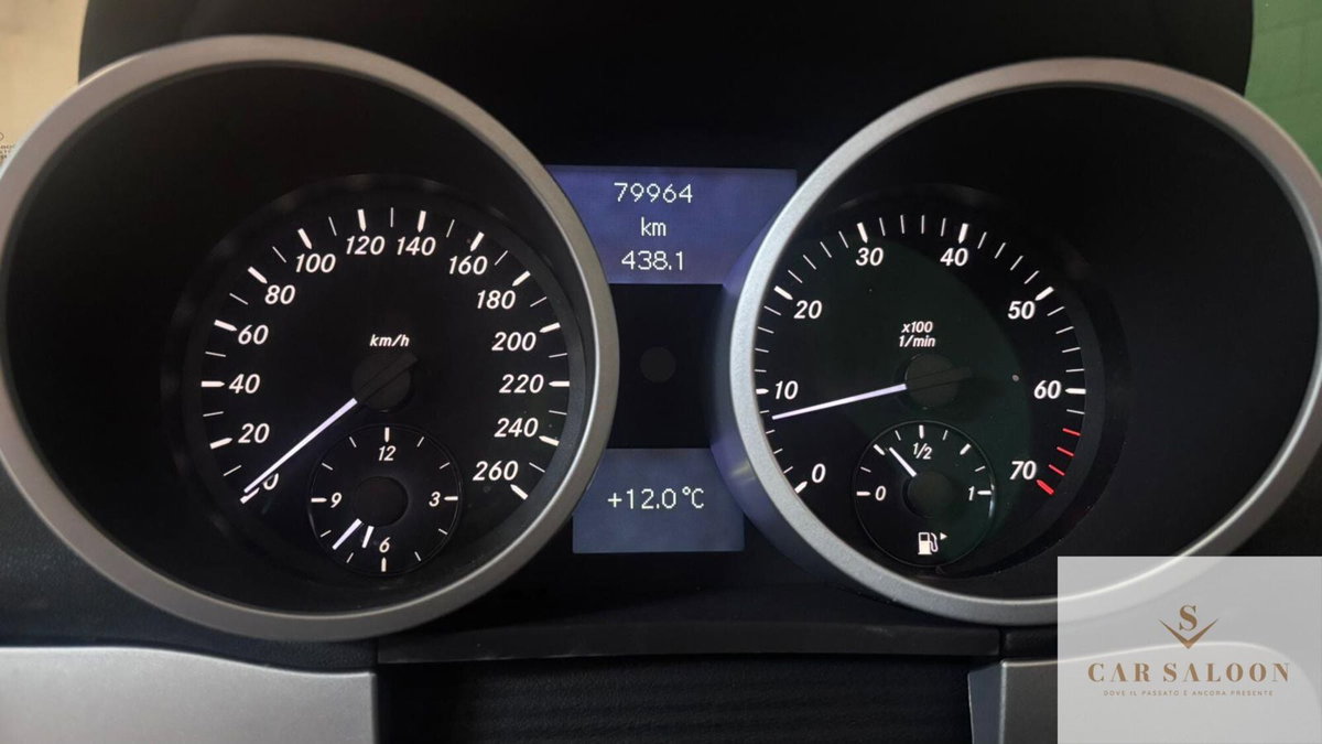 Mercedes-Benz SLK 350 cat (6)