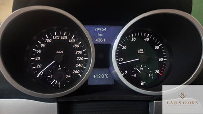 Mercedes-Benz SLK 350 cat (6)