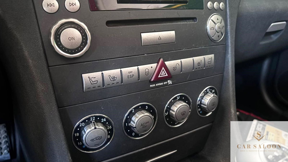 Mercedes-Benz SLK 350 cat (7)