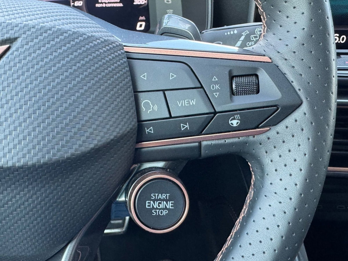 Cupra Formentor Formentor 2.0 TDI (13)