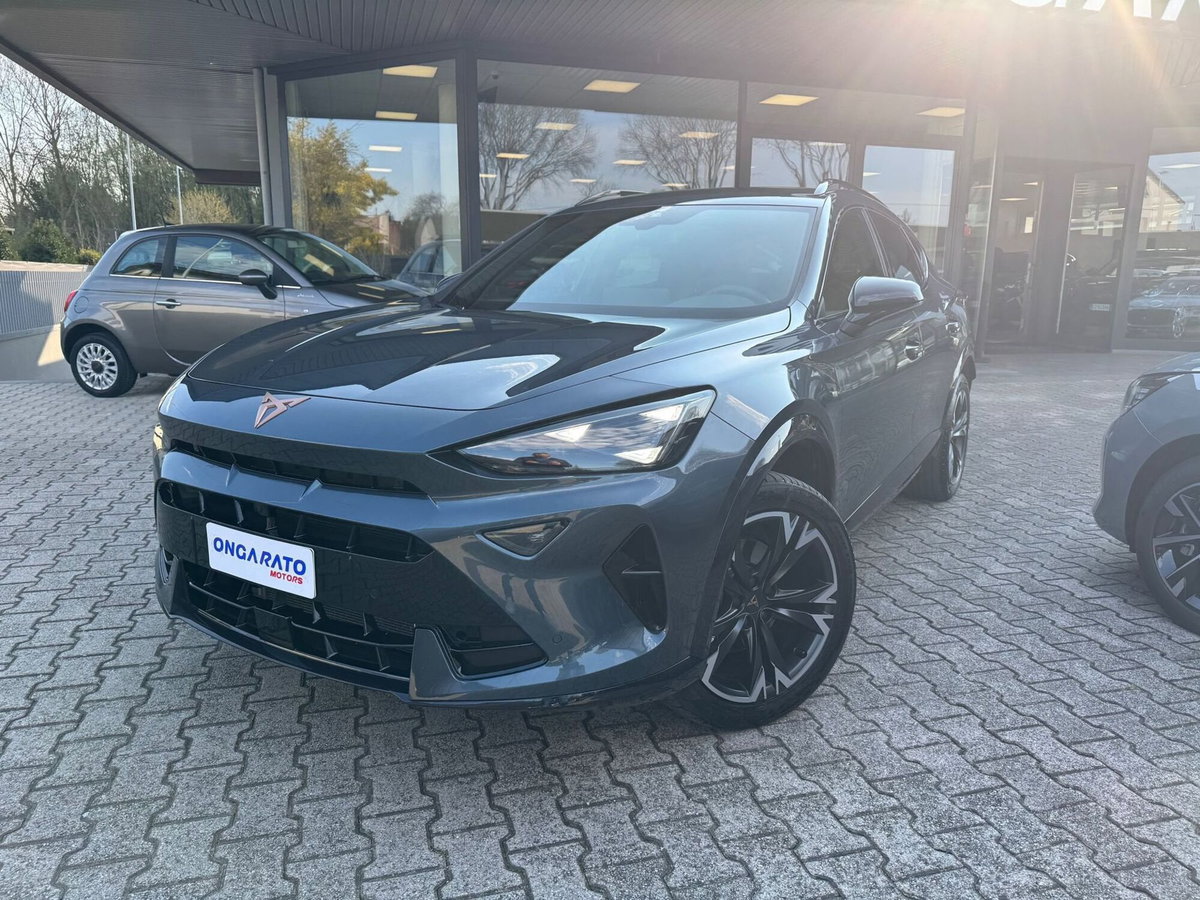 Cupra Formentor Formentor 2.0 TDI (2)