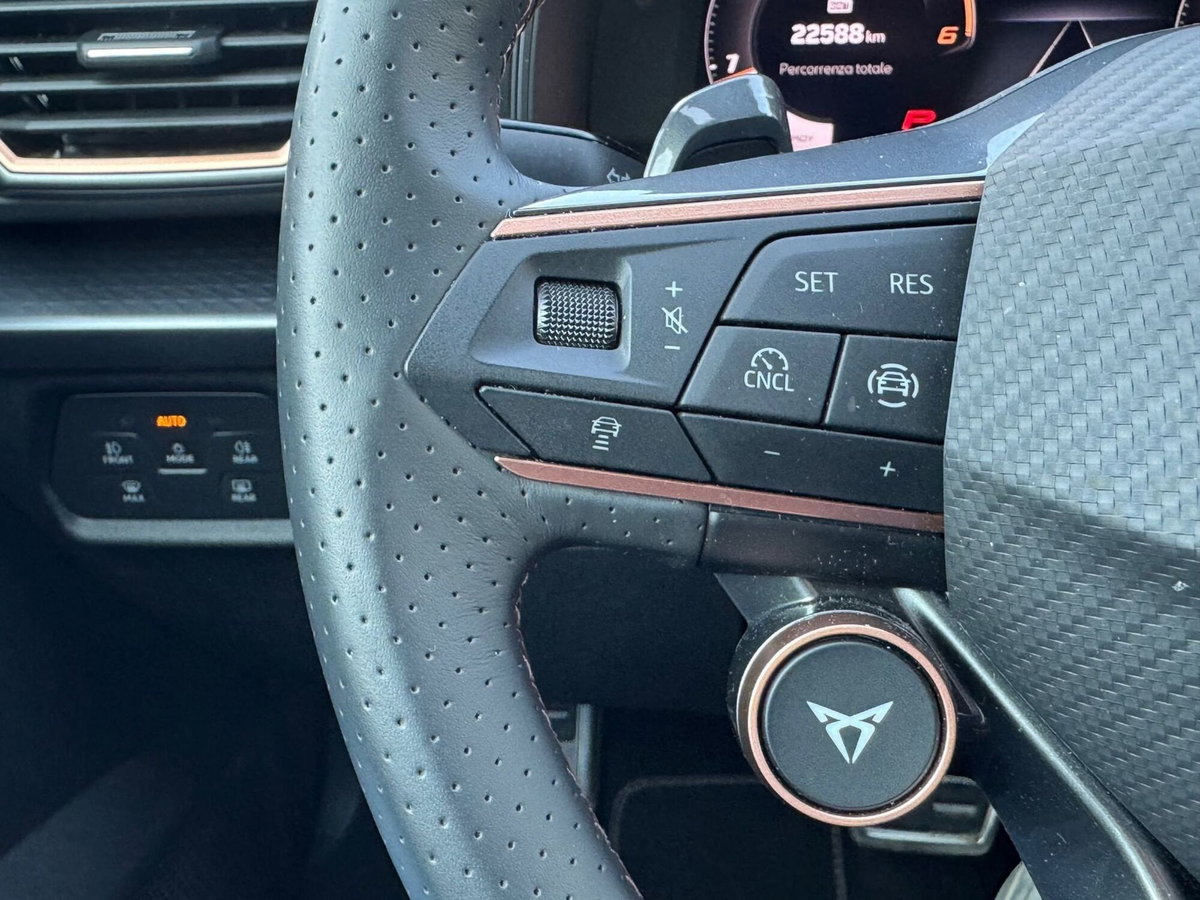 Cupra Formentor Formentor 2.0 TDI (12)