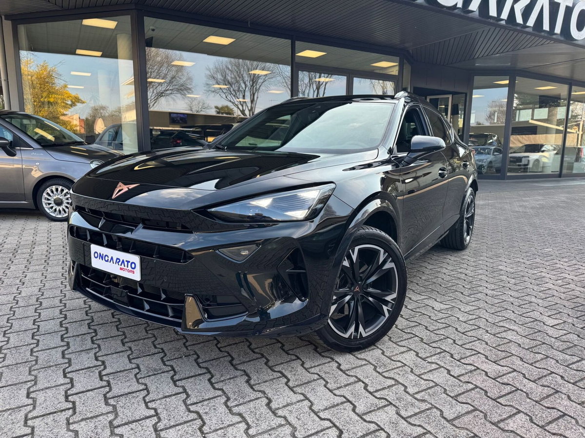 Cupra Formentor Formentor 2.0 TDI (2)
