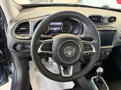 Jeep Renegade 1.0 T3 Limited (10)