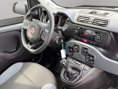 Fiat Panda 1.2 Easy Van 4 posti (10)