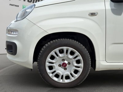 Fiat Panda 1.2 Easy Van 4 posti (19)