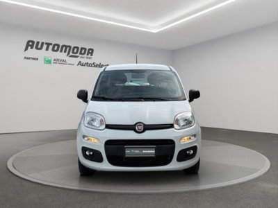 Fiat Panda 1.2 Easy Van 4 posti (2)