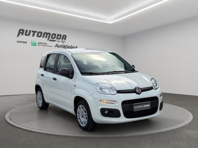 Fiat Panda 1.2 Easy Van 4 posti (3)