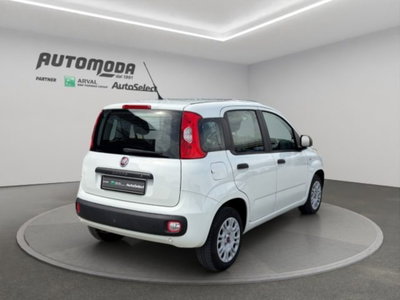Fiat Panda 1.2 Easy Van 4 posti (4)