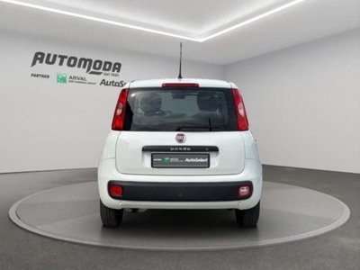 Fiat Panda 1.2 Easy Van 4 posti (5)