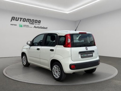 Fiat Panda 1.2 Easy Van 4 posti (6)