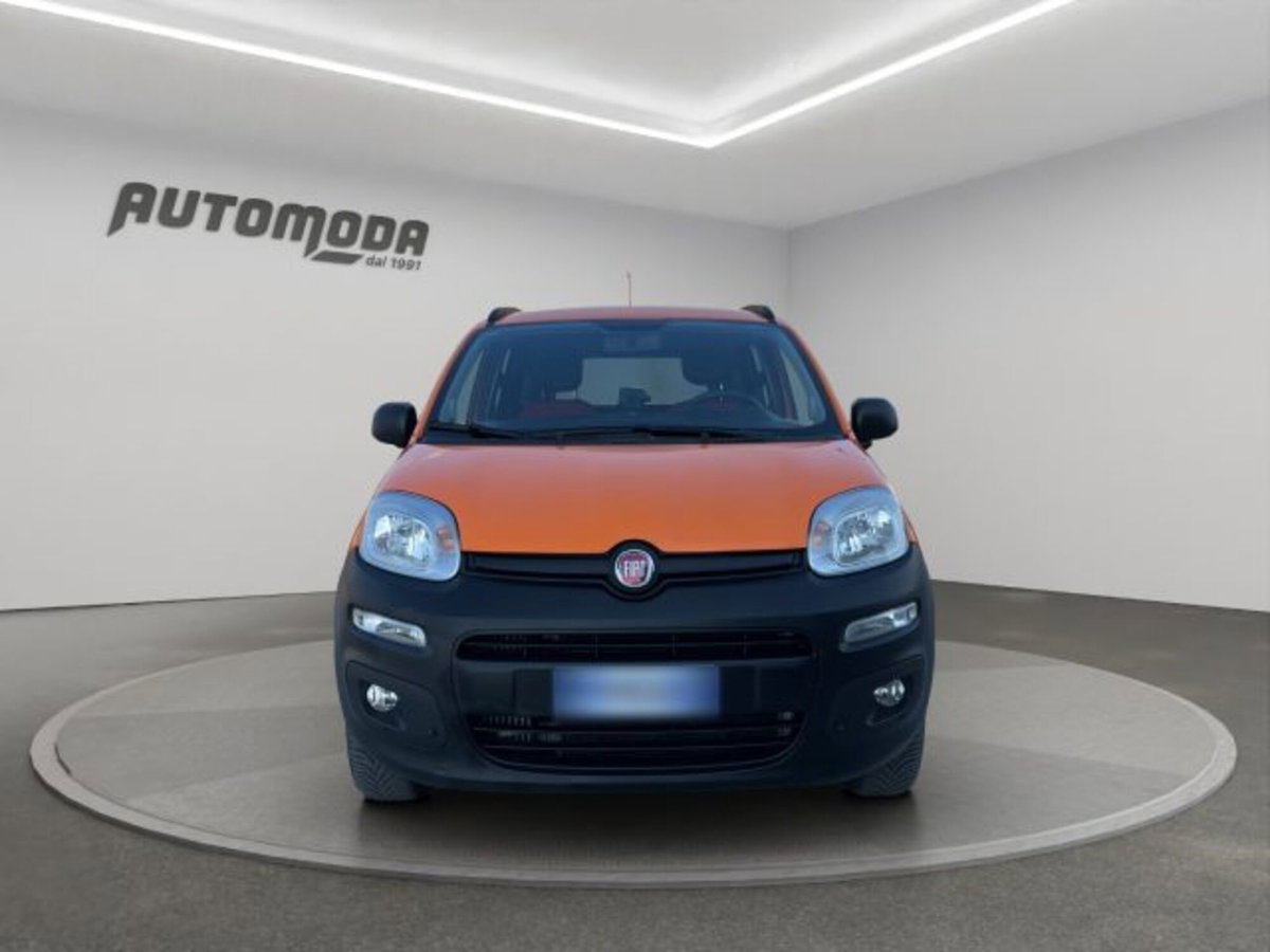 Fiat Panda 1.3 MJT 4x4 Pop Van 2 posti (2)