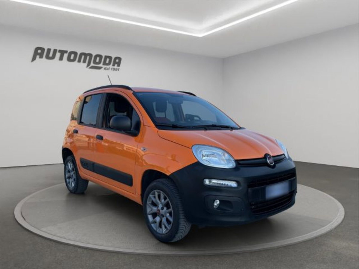 Fiat Panda 1.3 MJT 4x4 Pop Van 2 posti (3)