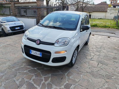 Fiat Panda 1.2 EasyPower Easy usata