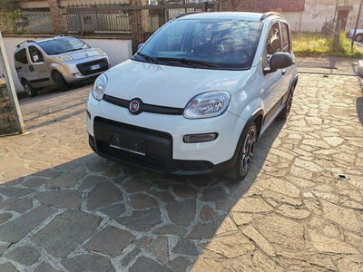 Fiat Panda Cross Cross 1.0 FireFly S&S Hybrid usata