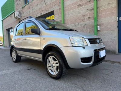 Fiat Panda 1.2 4x4 Climbing usata