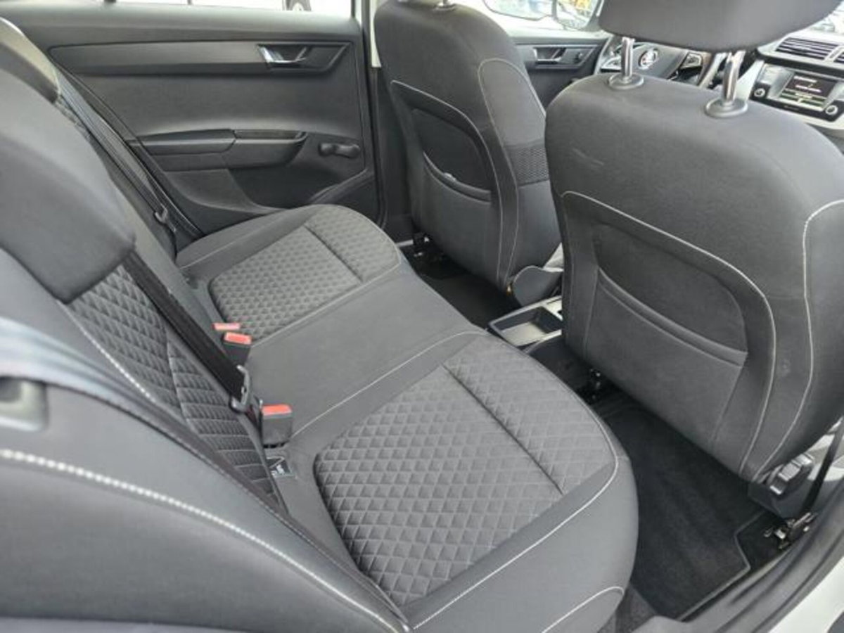 Skoda Fabia 1.4 TDI 75 CV Active (10)