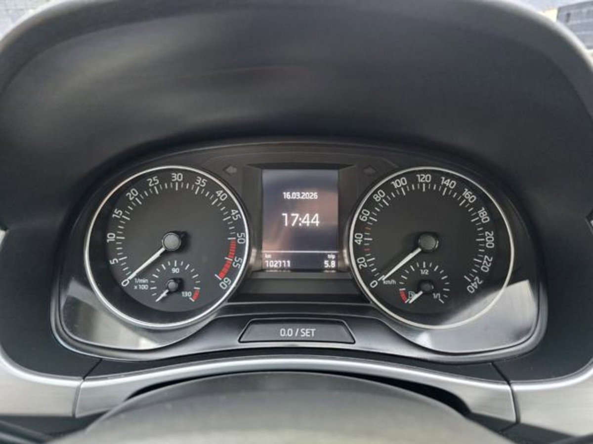 Skoda Fabia 1.4 TDI 75 CV Active (16)