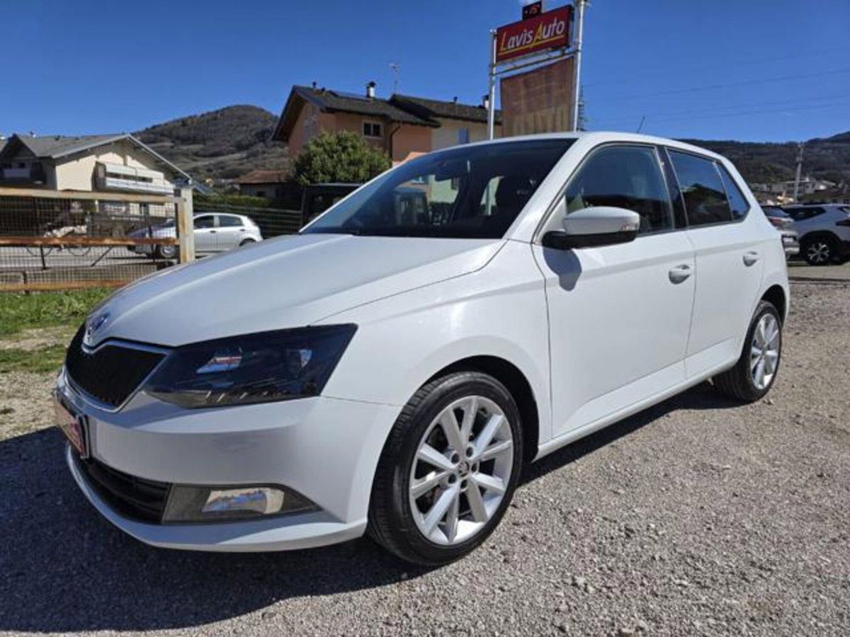 Skoda Fabia 1.4 TDI 75 CV Active (2)