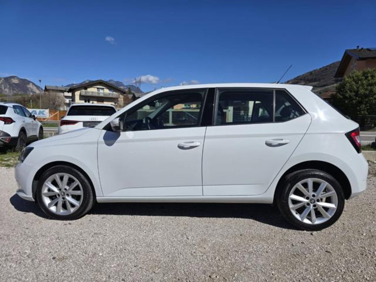 Skoda Fabia 1.4 TDI 75 CV Active (3)