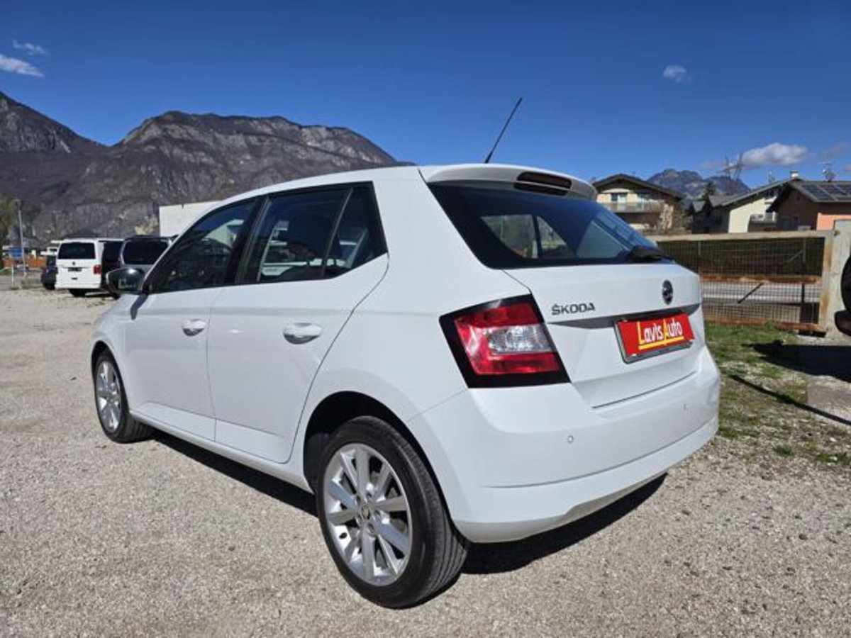 Skoda Fabia 1.4 TDI 75 CV Active (4)