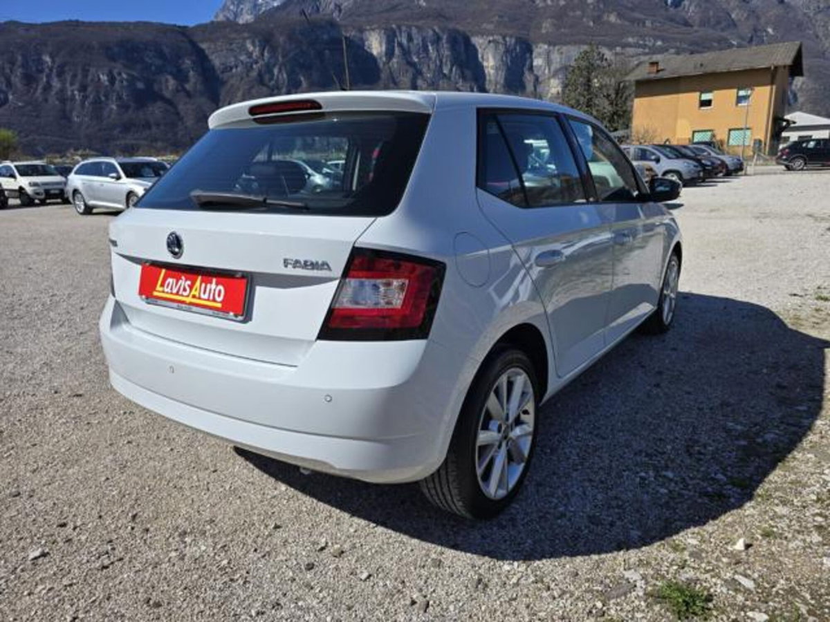 Skoda Fabia 1.4 TDI 75 CV Active (5)