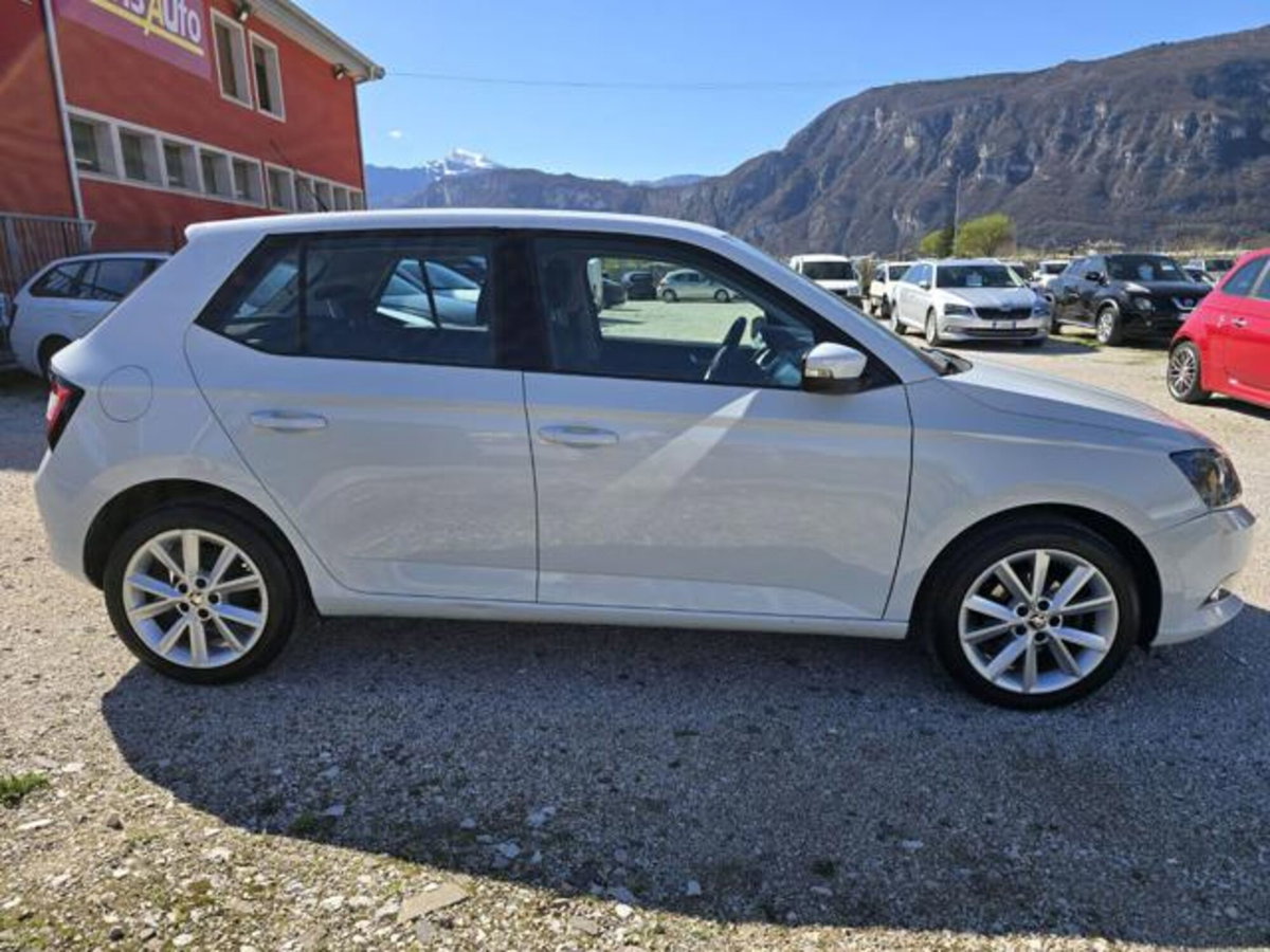 Skoda Fabia 1.4 TDI 75 CV Active (6)