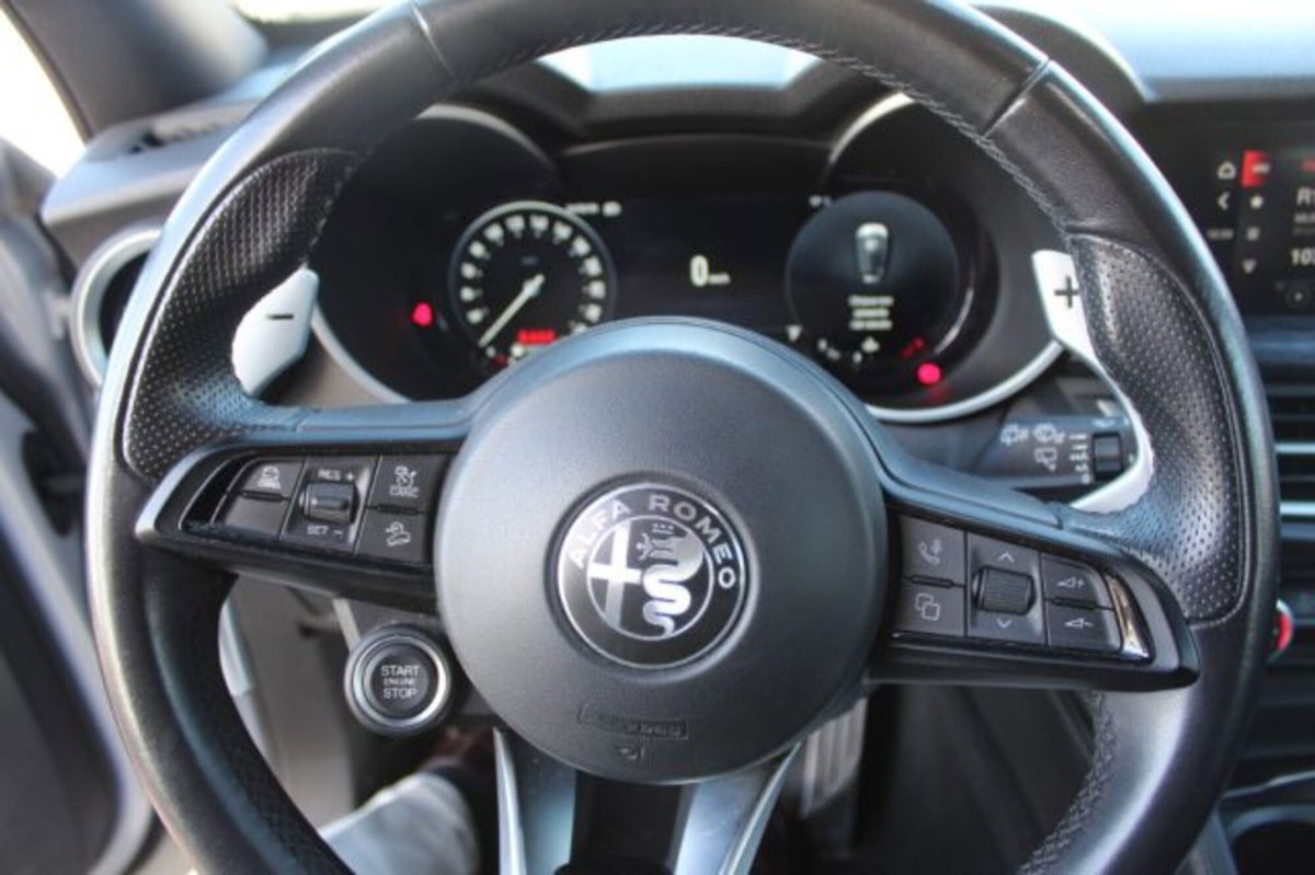 Alfa Romeo Stelvio Stelvio 2.2 Turbodiesel 160 CV AT8 RWD Sprint (6)