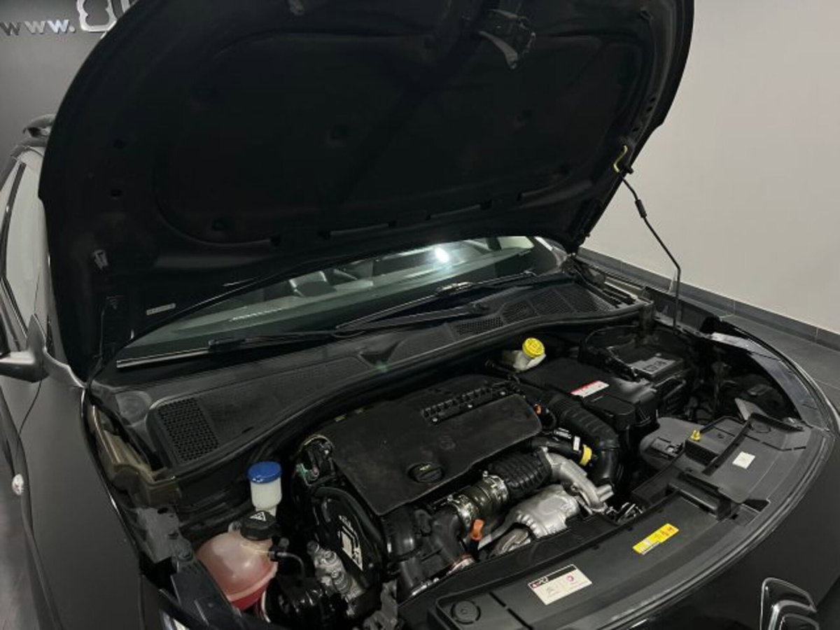 Citroen C4 Cactus BlueHDi 100 Shine (14)