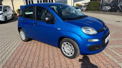Fiat Pandina 1.0 firefly hybrid Pop s&s 65cv nuova