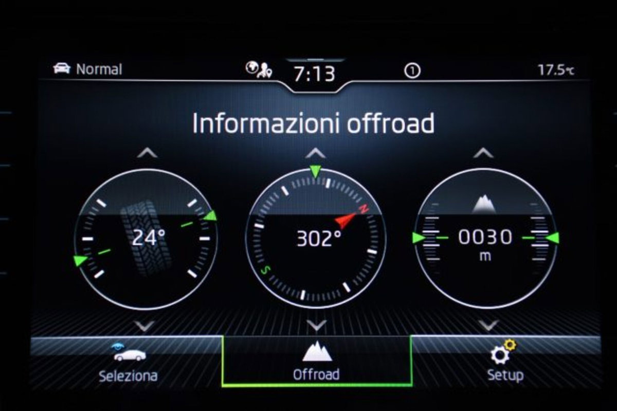 Skoda Kodiaq 2.0 TDI EVO SCR 4x4 DSG 7 posti Sportline (15)