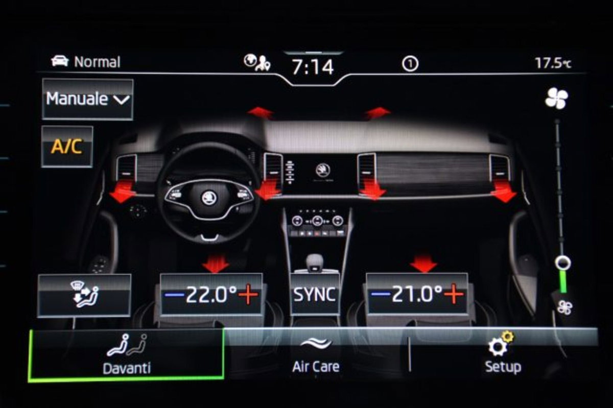Skoda Kodiaq 2.0 TDI EVO SCR 4x4 DSG 7 posti Sportline (17)