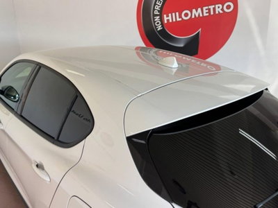 Alfa Romeo Stelvio Stelvio 2.2 Turbodiesel 180 CV AT8 Q4 Super (15)