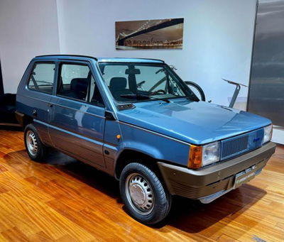 Fiat Panda 30 usata